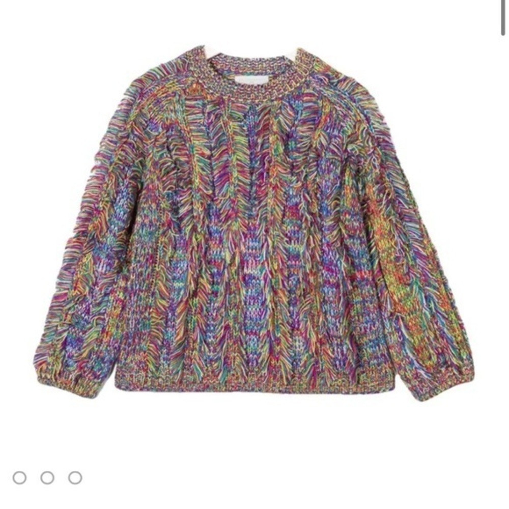 Stella McCartney sweater - size 12 kids - could also fit a woman’s small